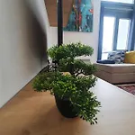 Tuzlaks -sauna-free Parking